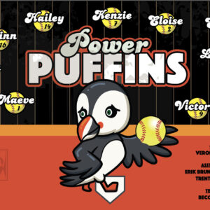 MakeUnique Photography & Design Puffins Banner